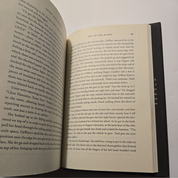 OUT OF THE BLUES (A DETECTIVE SARAH ALT NOVEL) By Trudy Nan Boyce - Hardcover - Picture 5 of 10